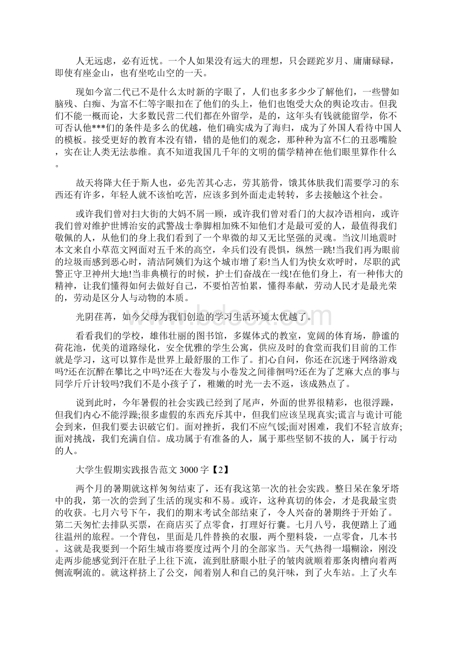 大学生假期实践报告范文3000字Word文档下载推荐.docx_第2页