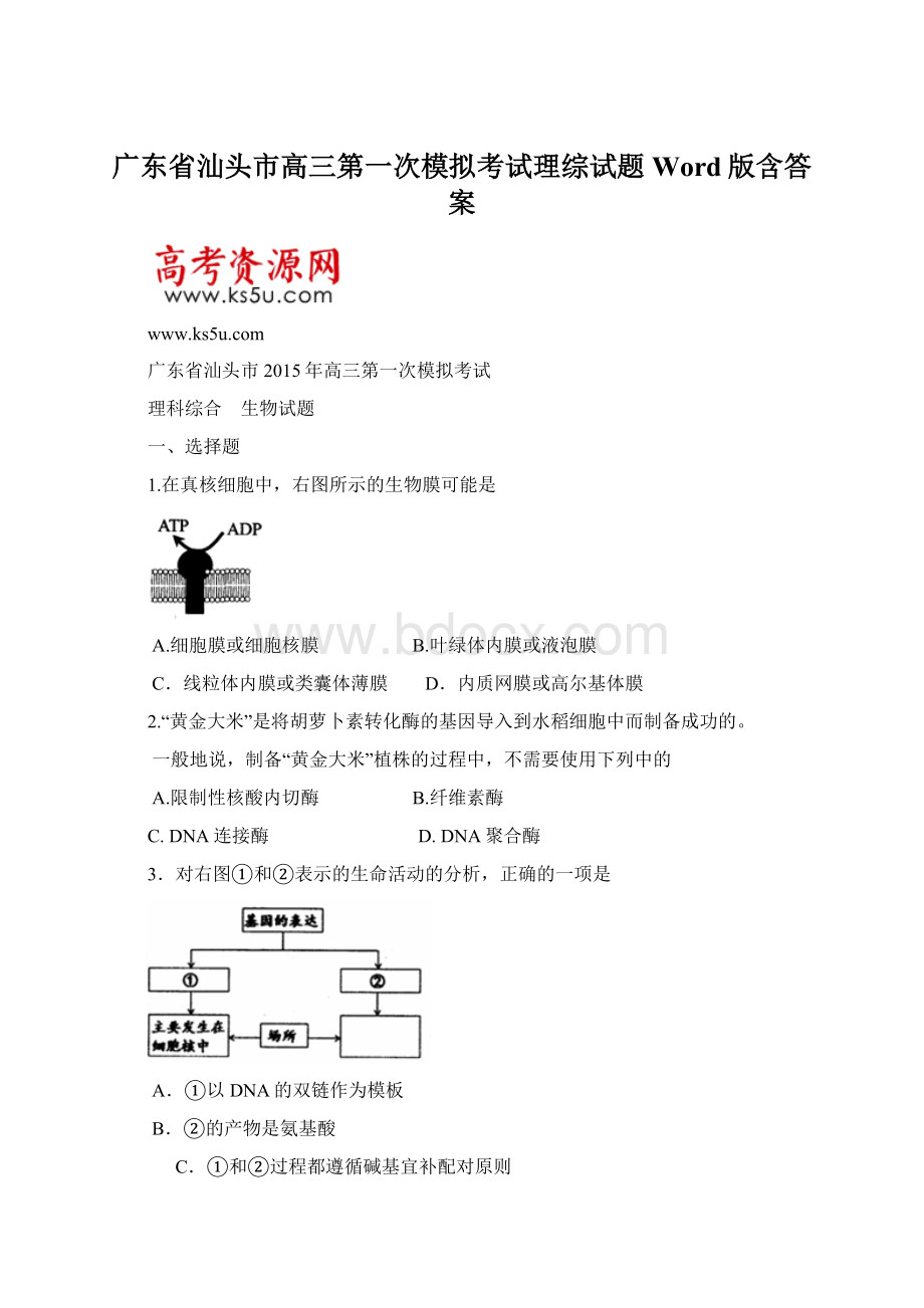 广东省汕头市高三第一次模拟考试理综试题 Word版含答案.docx_第1页