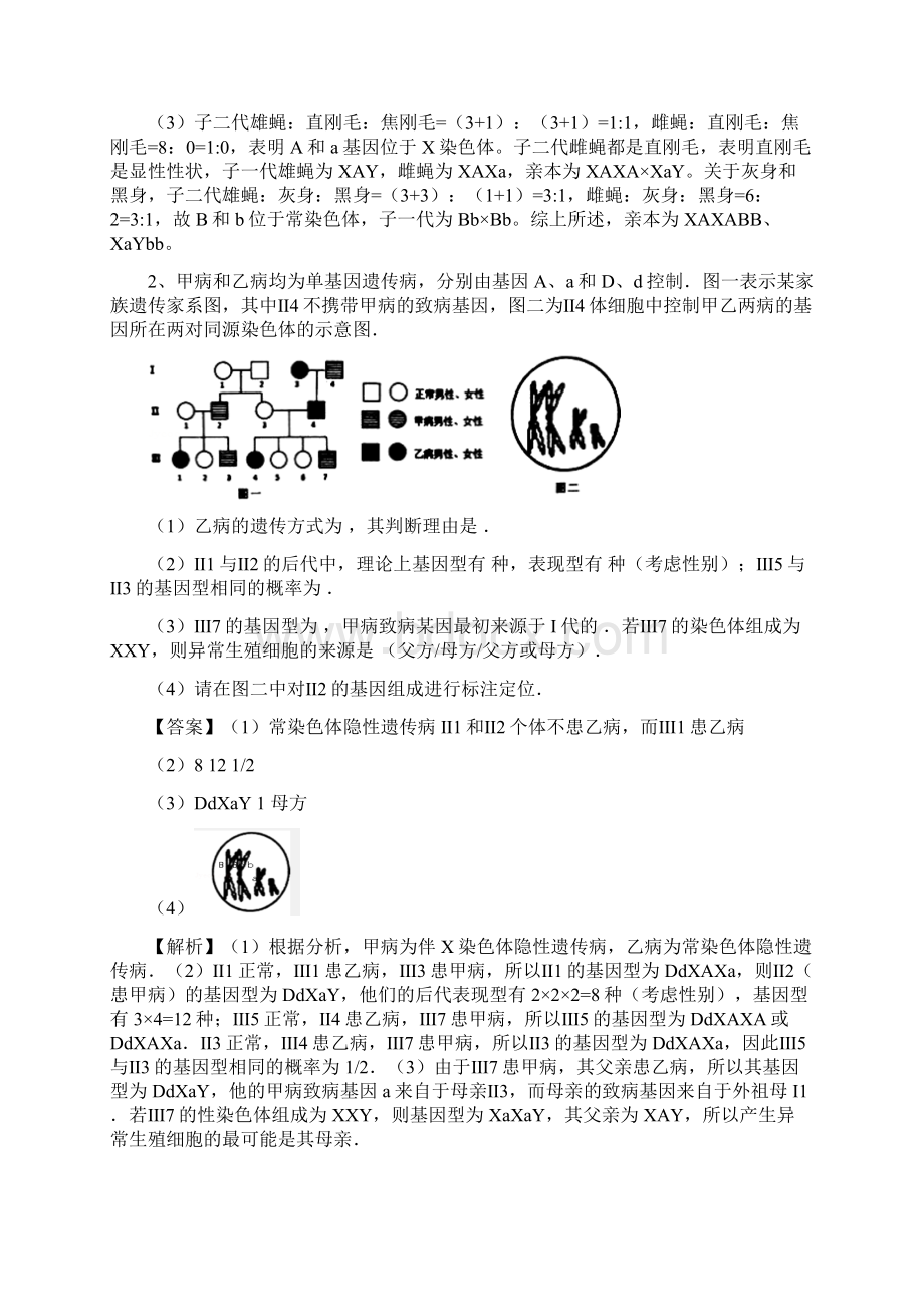 高三生物课后考点专攻遗传大题Word文件下载.docx_第2页