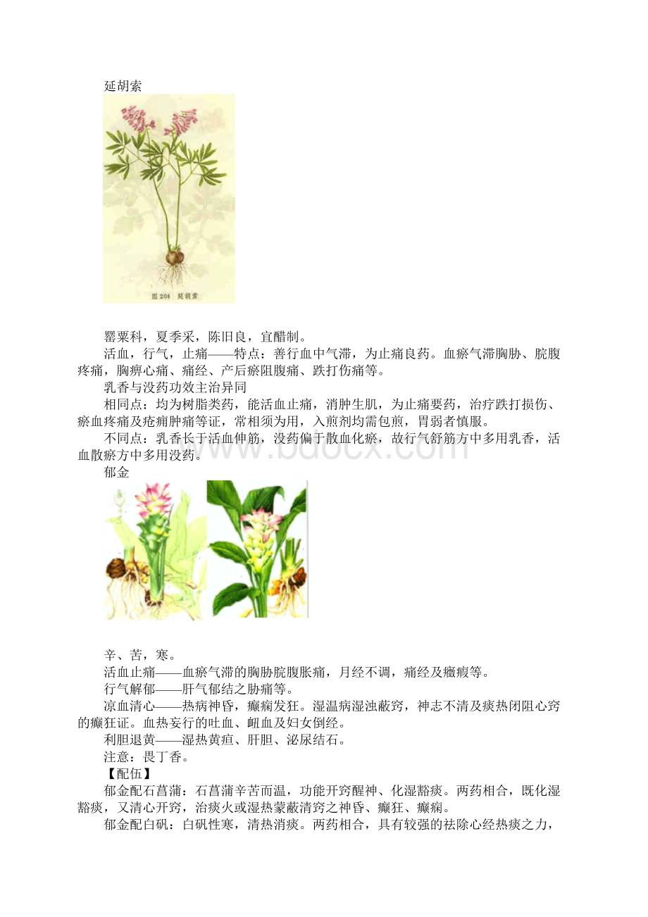 执业中药师中药学活血祛瘀药.docx_第2页