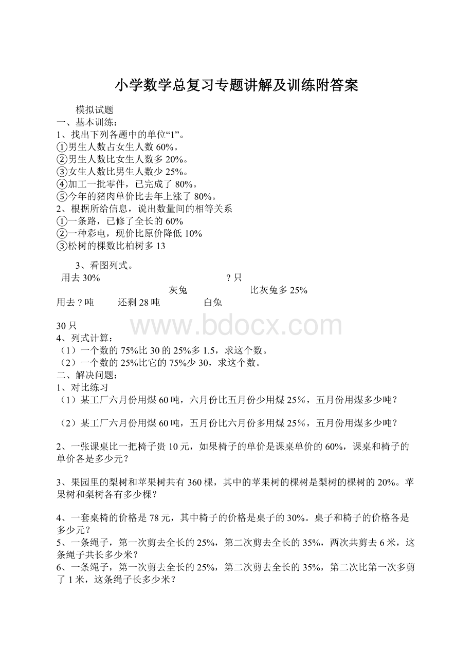 小学数学总复习专题讲解及训练附答案Word格式.docx_第1页