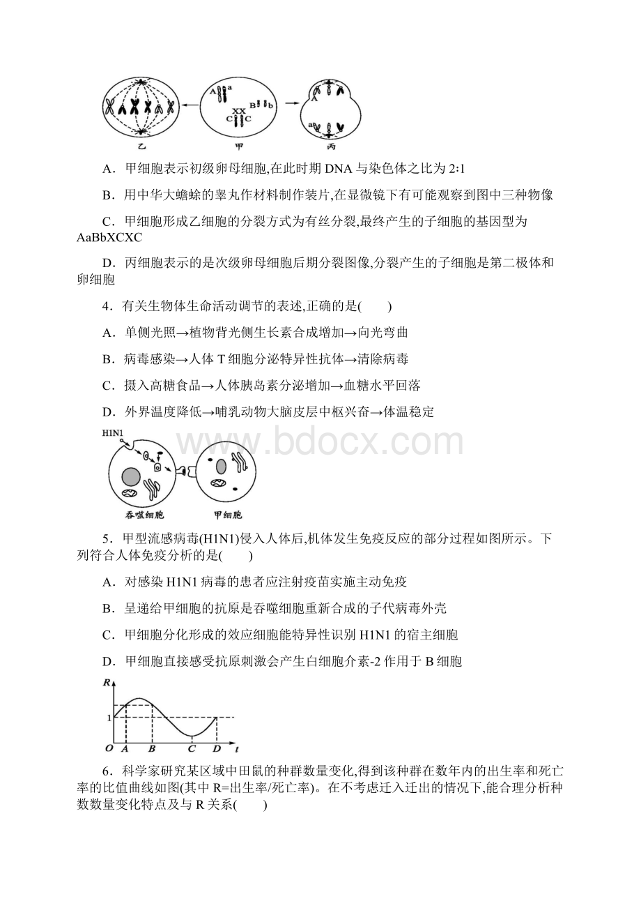 届广西桂林市高三下学期适应性考试理综试题.docx_第2页