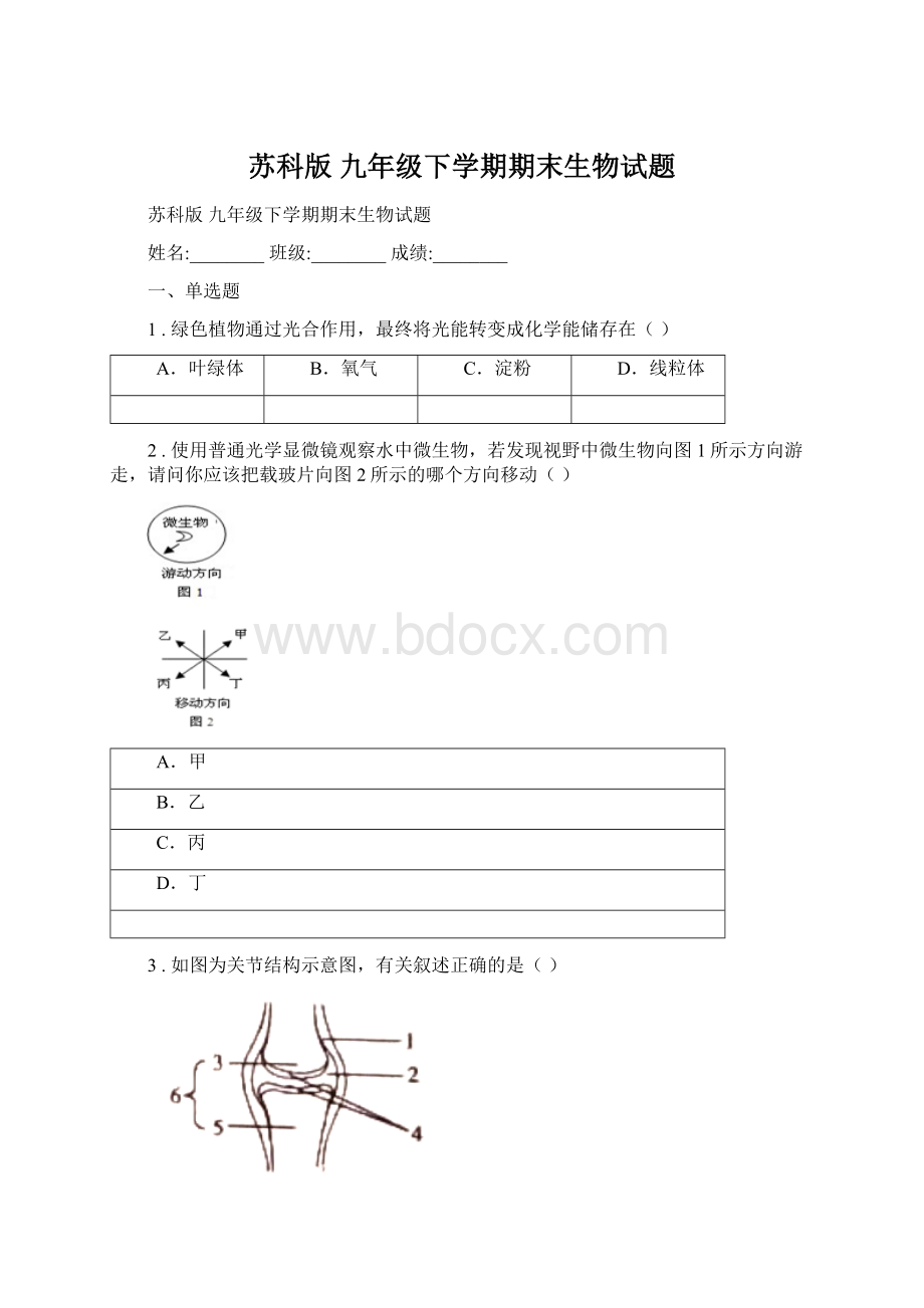 苏科版 九年级下学期期末生物试题Word格式文档下载.docx