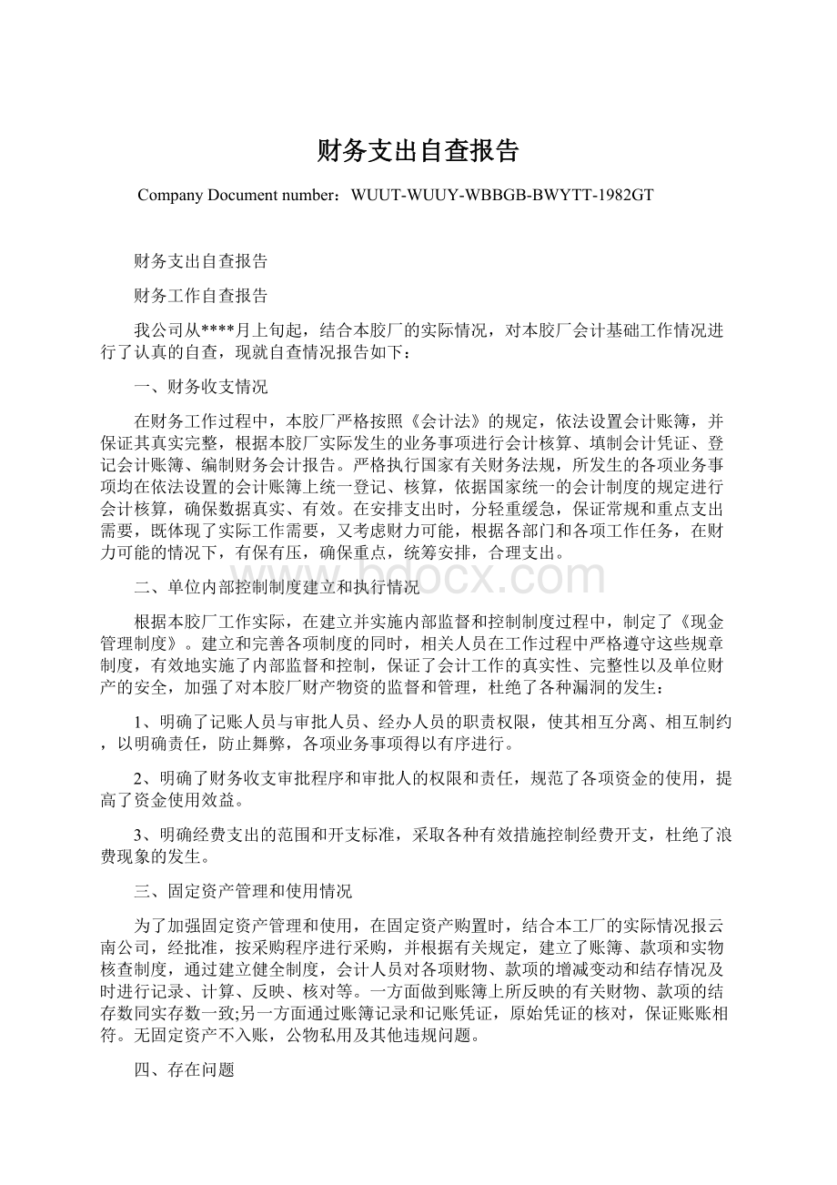 财务支出自查报告.docx_第1页