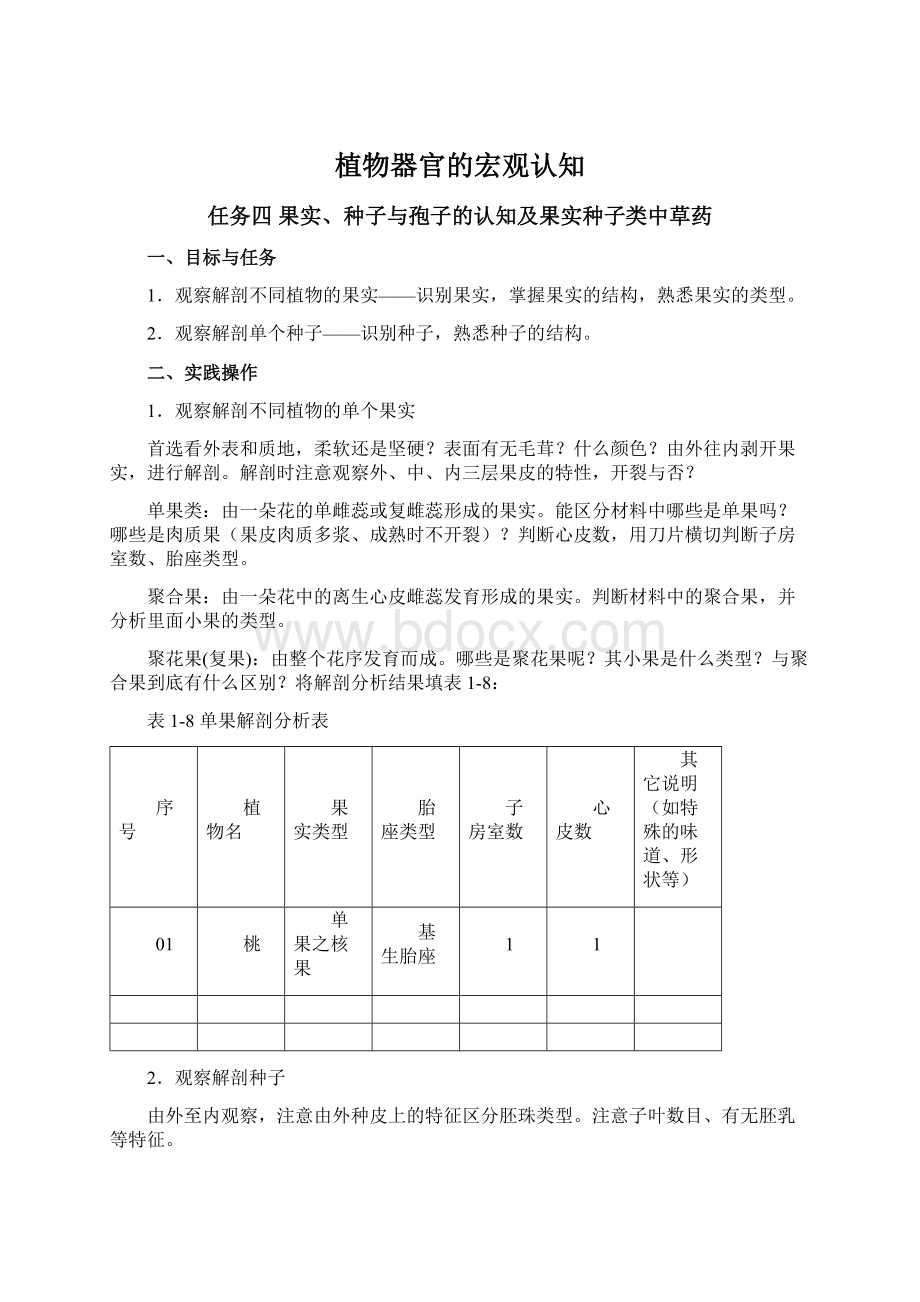 植物器官的宏观认知Word文件下载.docx