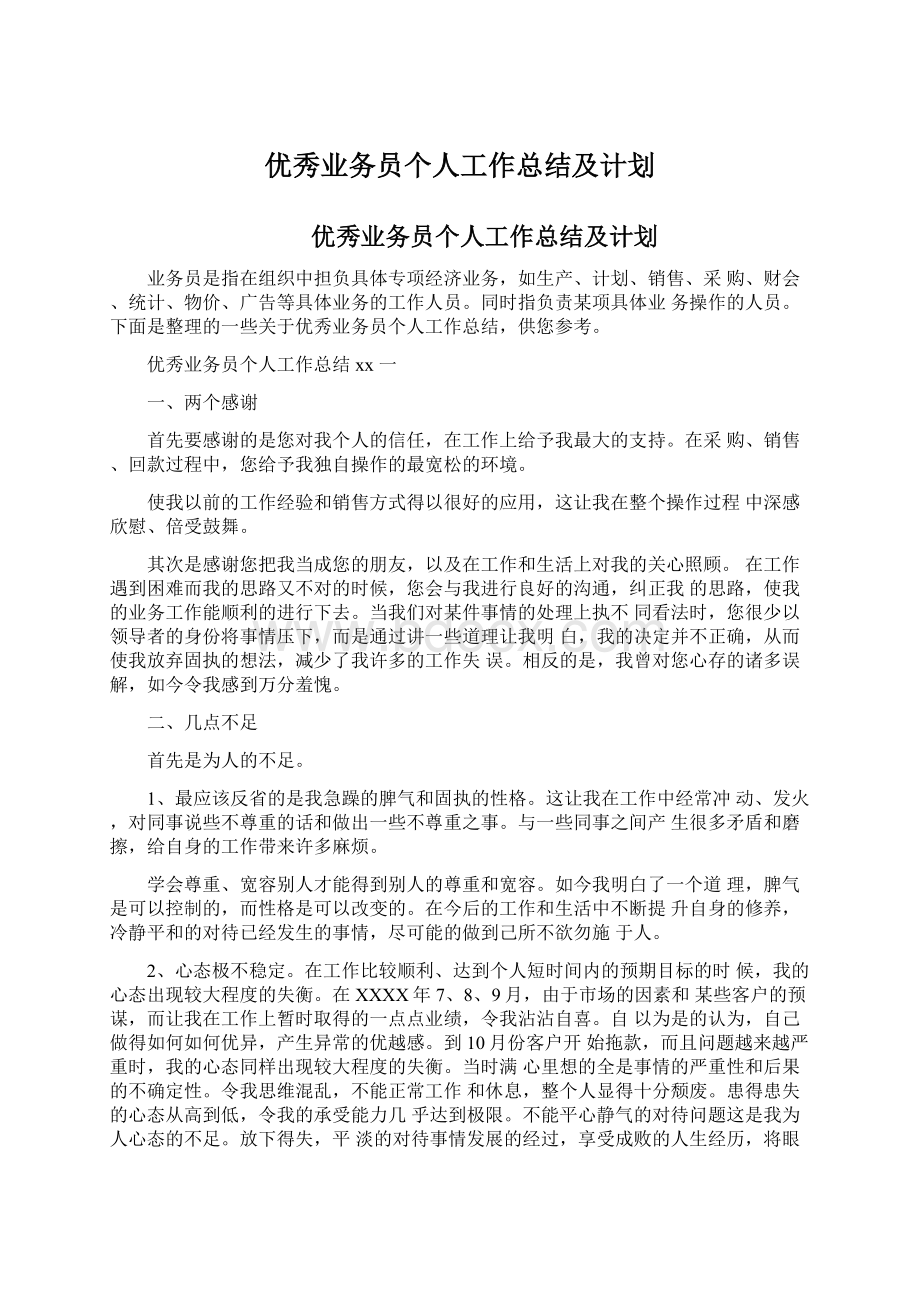 优秀业务员个人工作总结及计划.docx