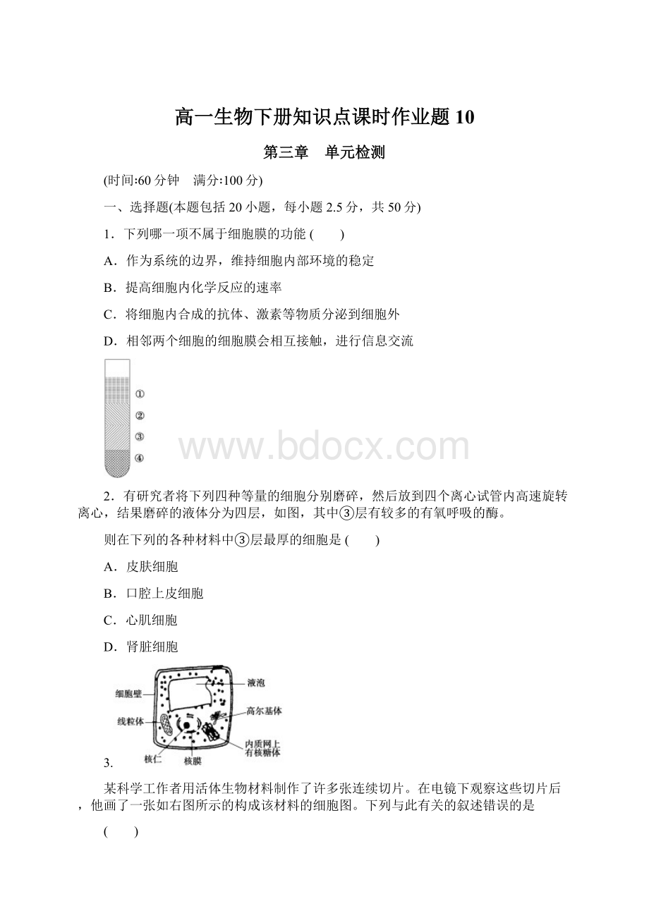 高一生物下册知识点课时作业题10文档格式.docx_第1页