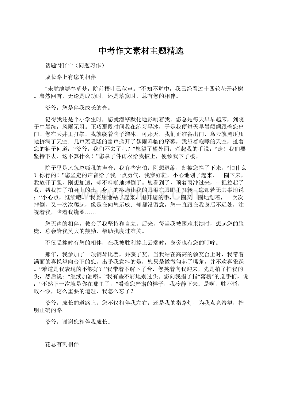 中考作文素材主题精选文档格式.docx