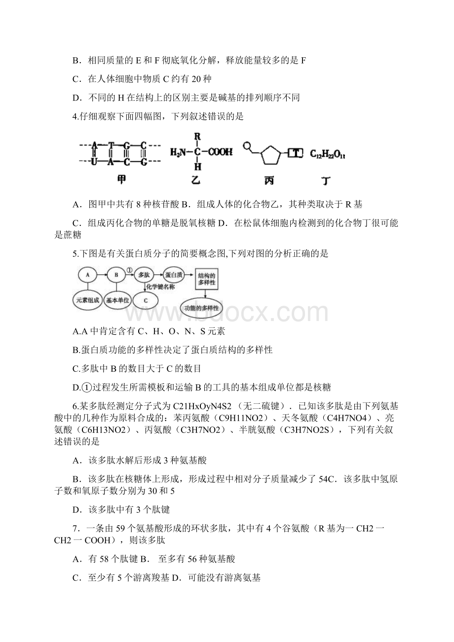 新课标Ⅱ第三辑届高三上学期第四次月考 生物.docx_第2页