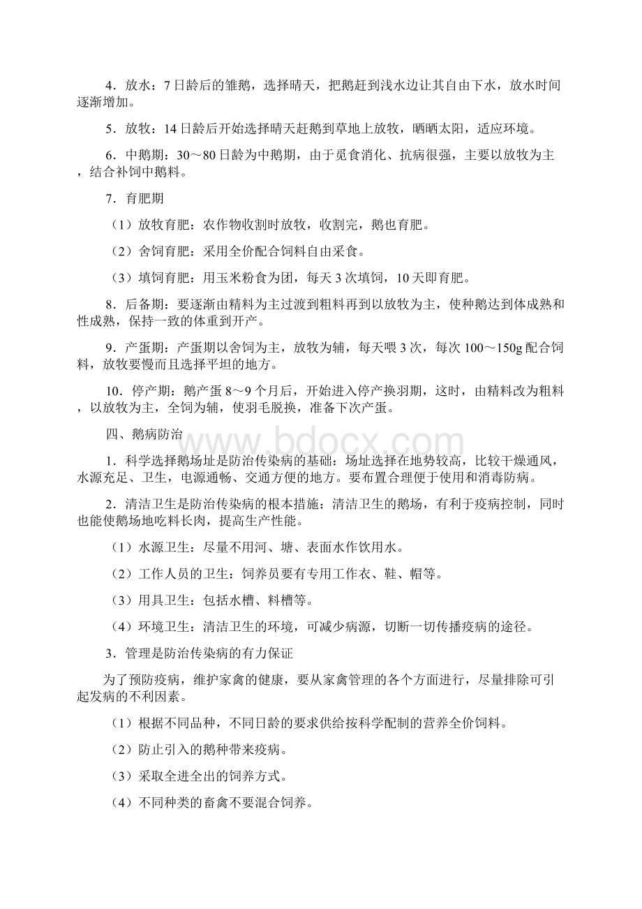 鹅的饲养技术资料.docx_第2页