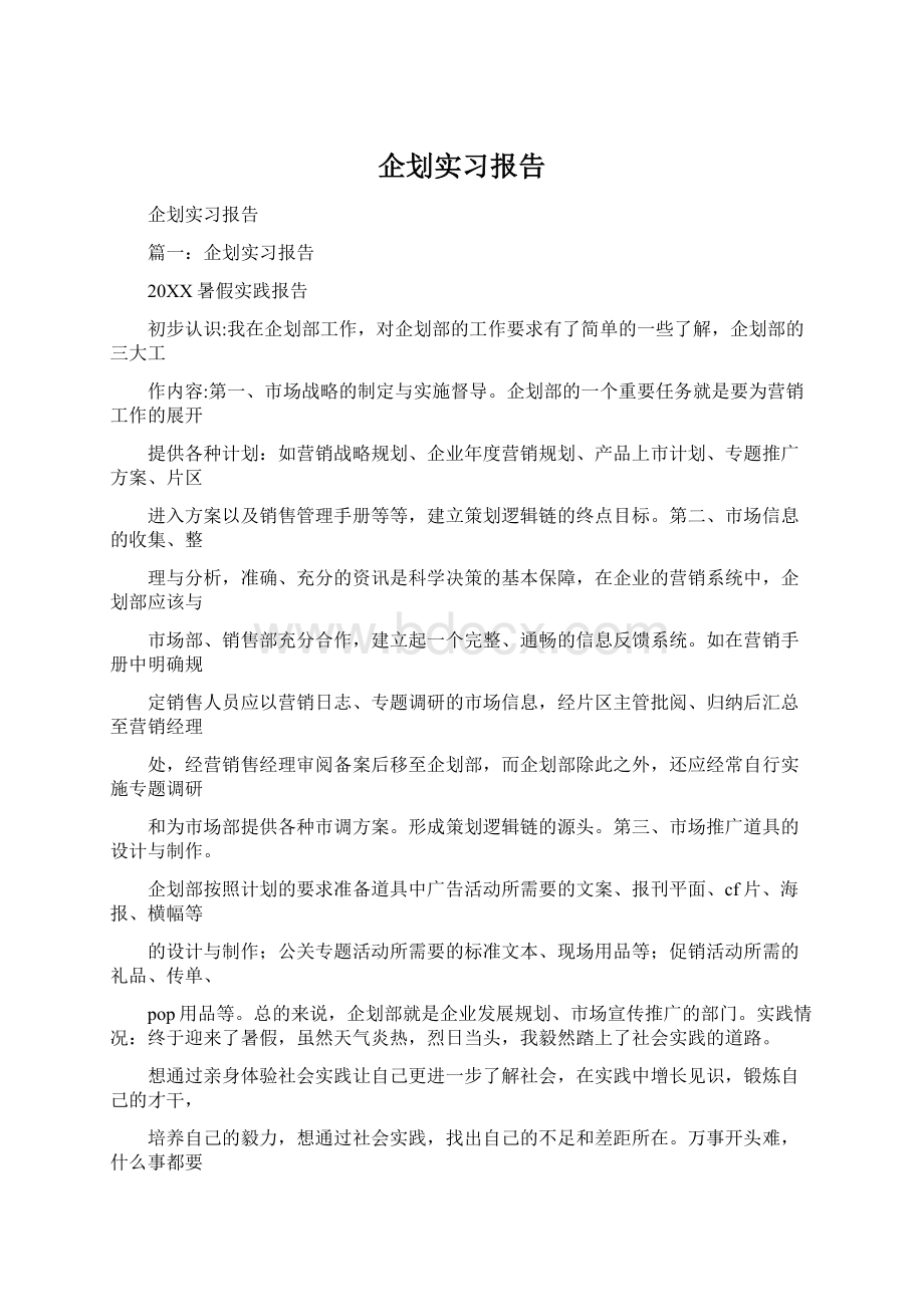 企划实习报告Word下载.docx