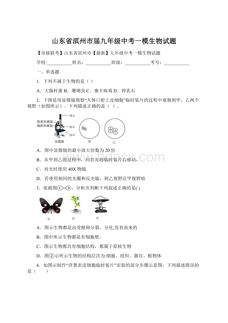 山东省滨州市届九年级中考一模生物试题Word下载.docx_第1页