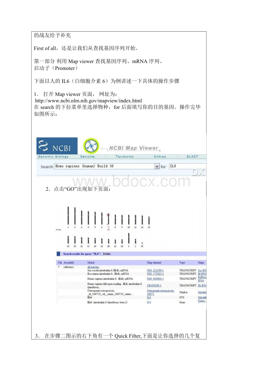 一步一步教你使用 NCBI 查找DNA.docx_第2页