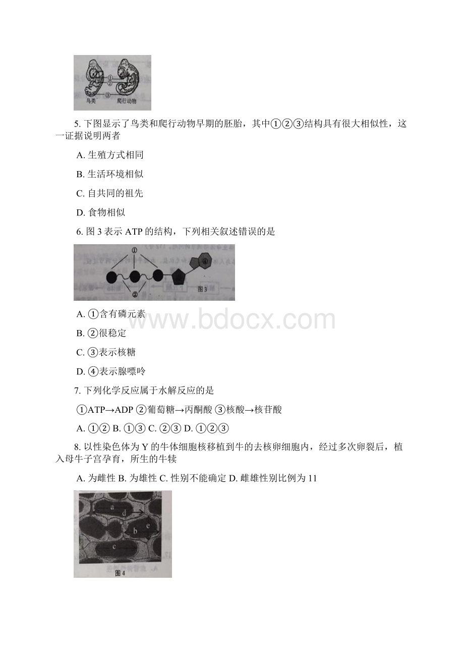 推荐徐汇区高二高三第一学期期末一模学科质量检测生物试题及答案.docx_第2页