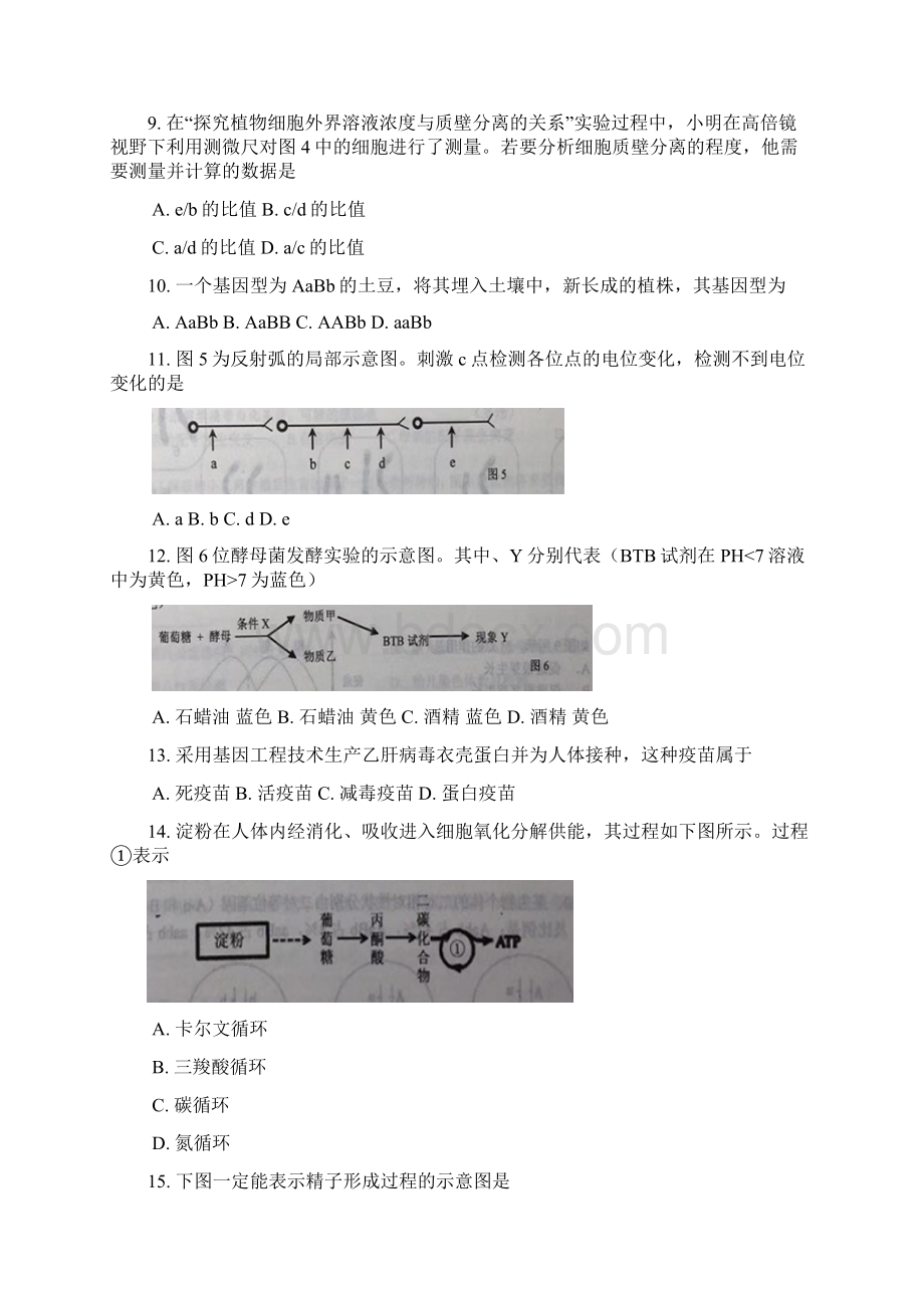 推荐徐汇区高二高三第一学期期末一模学科质量检测生物试题及答案.docx_第3页