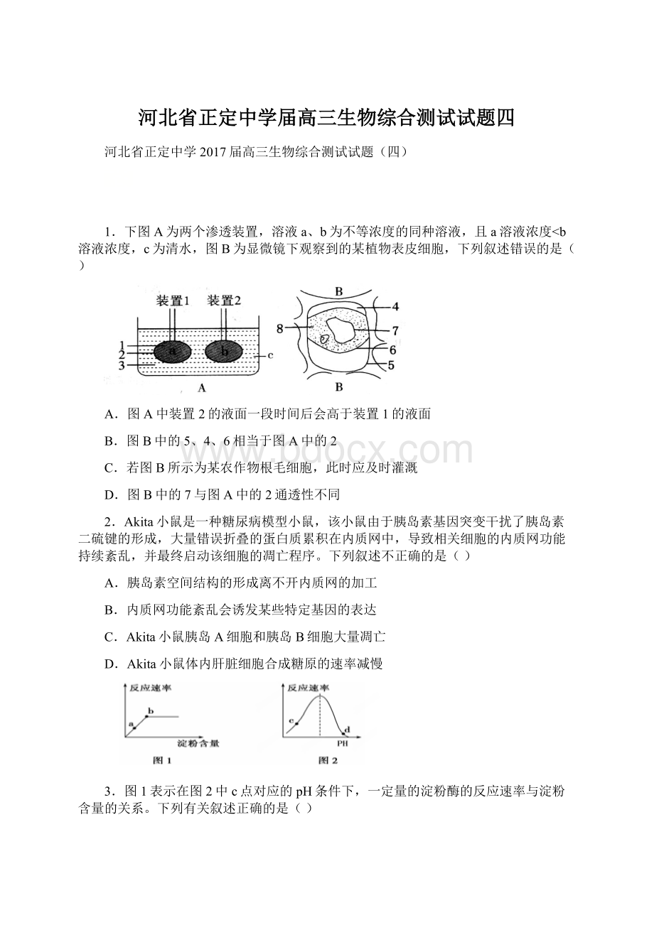 河北省正定中学届高三生物综合测试试题四.docx_第1页