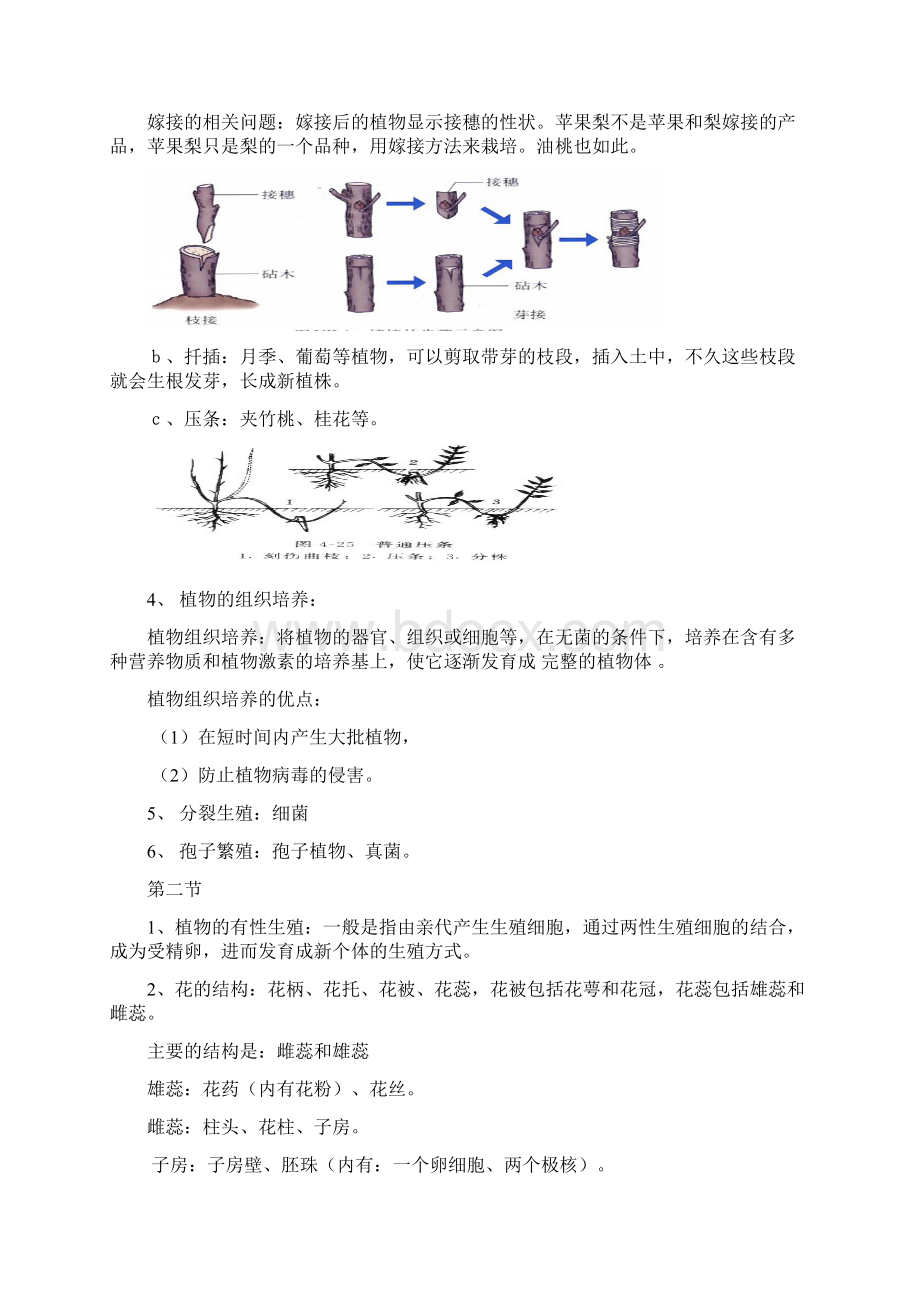 苏教版8上生物 知识归纳副本文档格式.docx_第2页