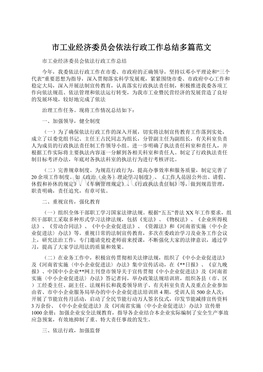 市工业经济委员会依法行政工作总结多篇范文.docx