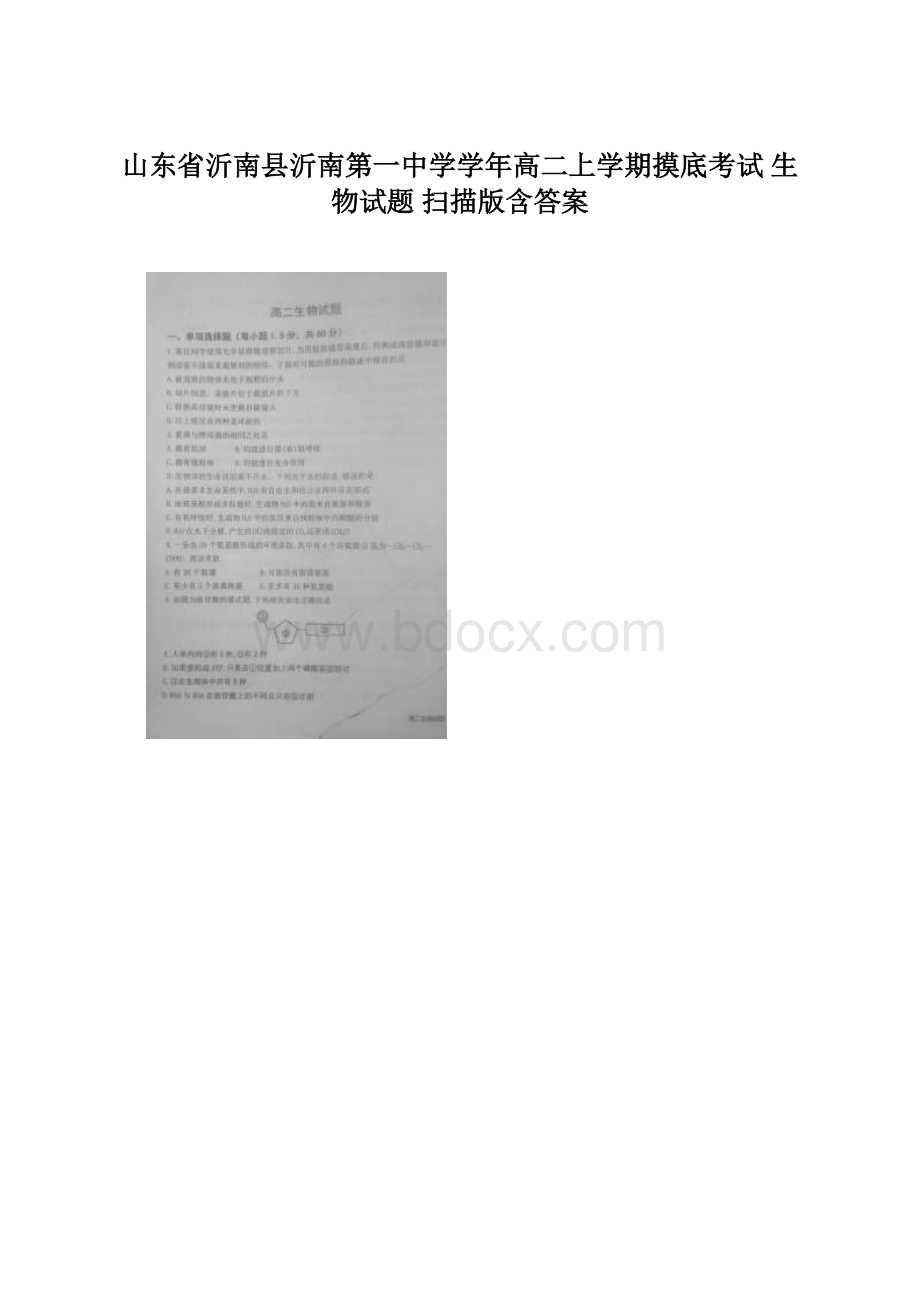 山东省沂南县沂南第一中学学年高二上学期摸底考试 生物试题 扫描版含答案.docx