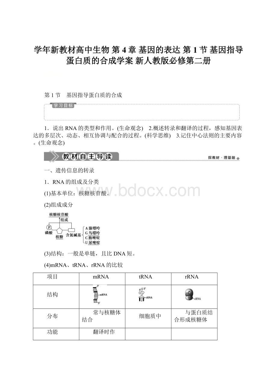 学年新教材高中生物 第4章 基因的表达 第1节 基因指导蛋白质的合成学案 新人教版必修第二册Word下载.docx