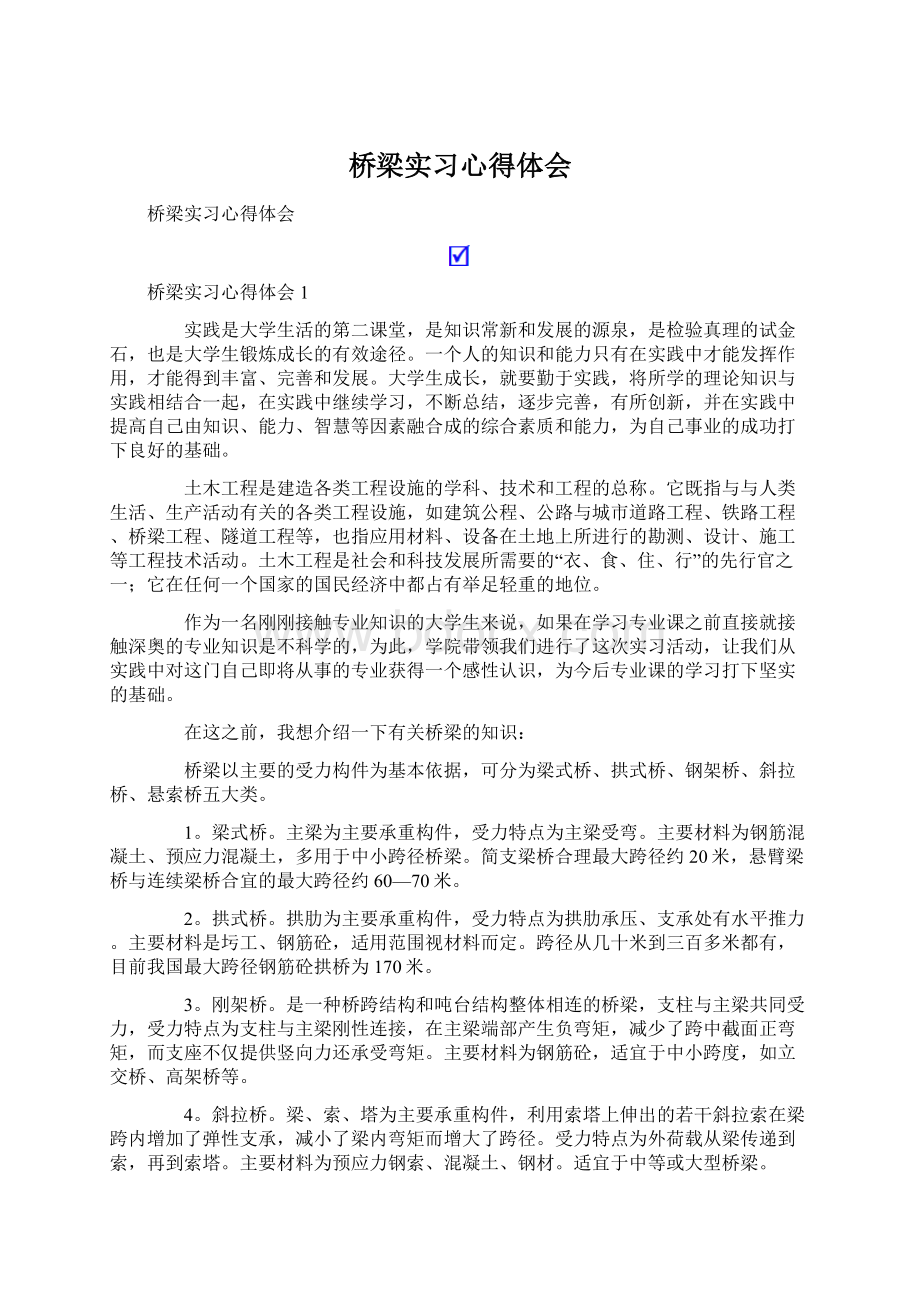 桥梁实习心得体会.docx_第1页