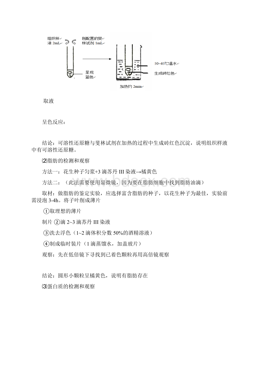 江苏省普通高中学业水平测试生物复习提纲实验部分.docx_第2页