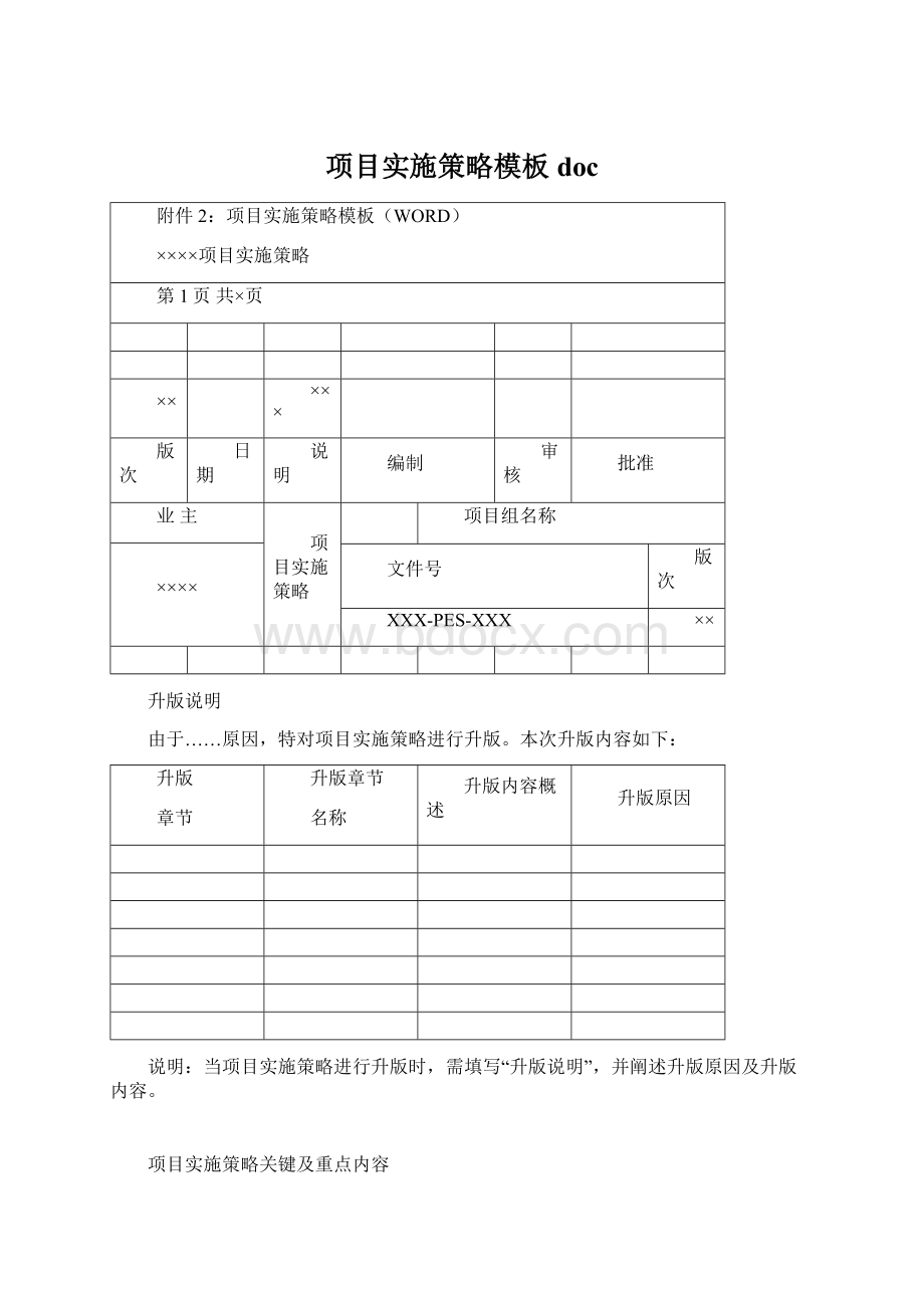 项目实施策略模板doc.docx