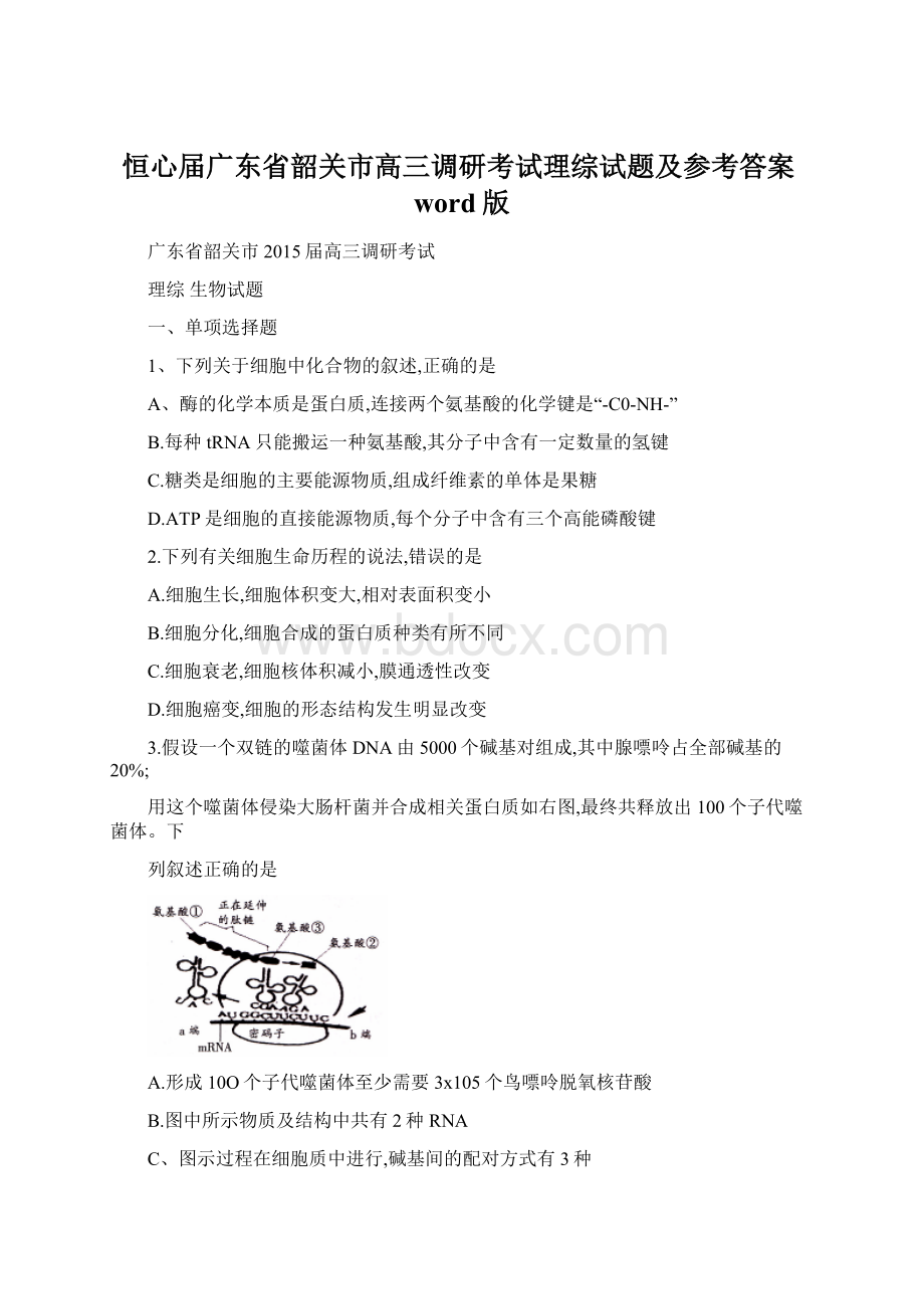 恒心届广东省韶关市高三调研考试理综试题及参考答案word版Word文档格式.docx