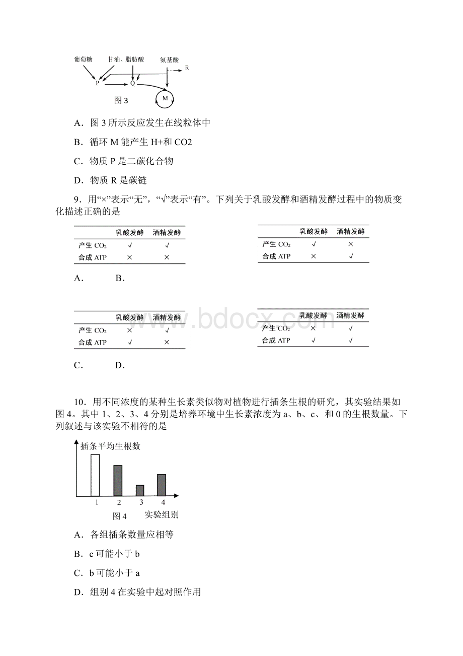 上海黄浦区高三上学期期末调研测试生物试题含答案.docx_第3页