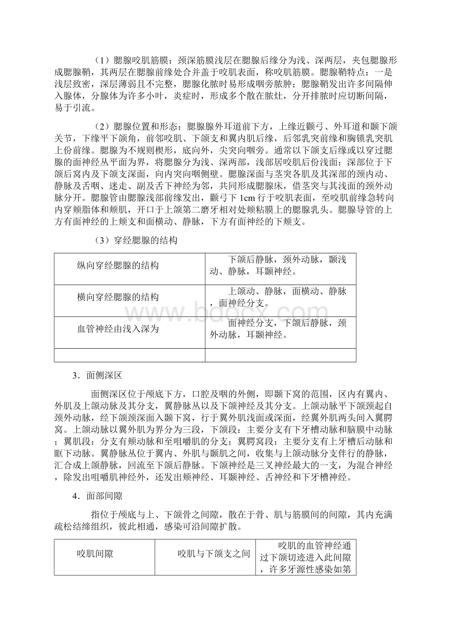 临床解剖学核心内容.docx_第3页