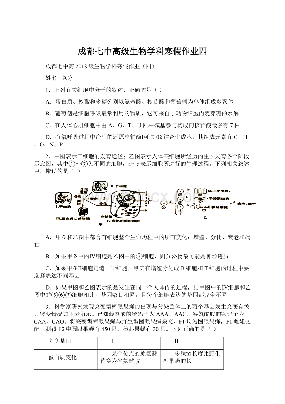 成都七中高级生物学科寒假作业四Word文件下载.docx_第1页