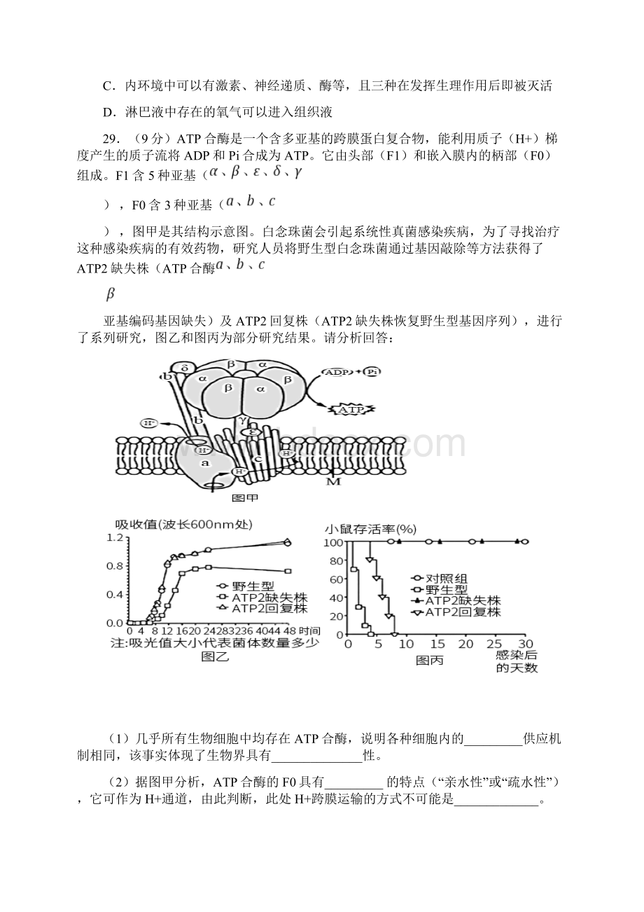 成都七中高级生物学科寒假作业四Word文件下载.docx_第3页