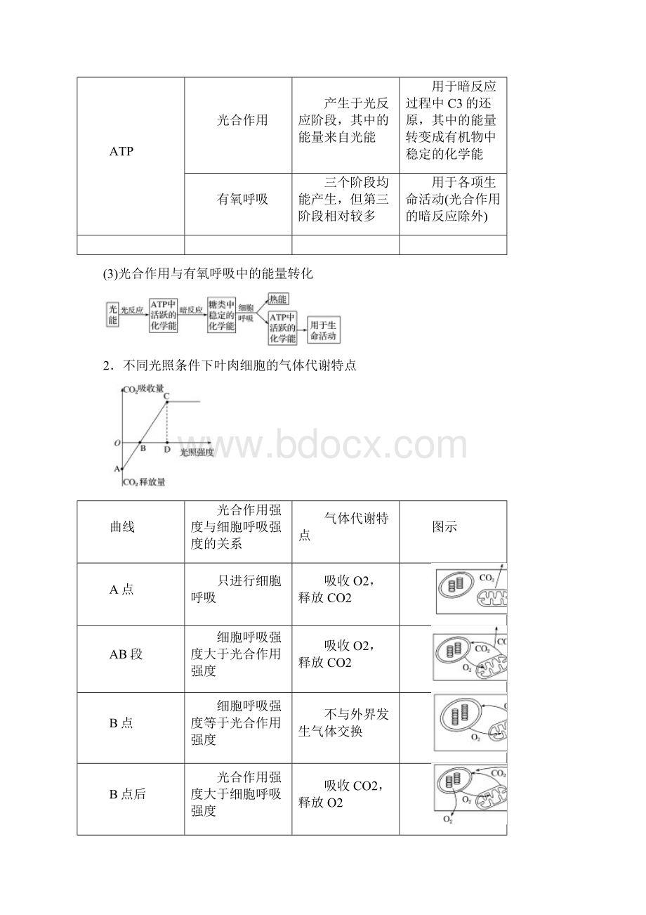 人教通用版高考生物第三单元细胞的能量供应和利用第10讲光合作用与细胞呼吸的综合应用讲义.docx_第3页