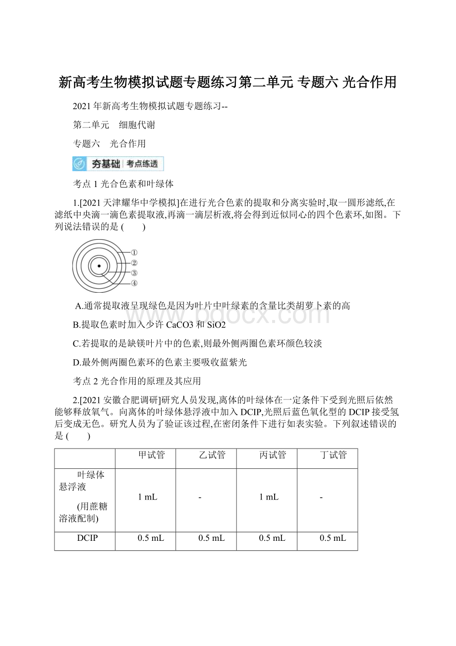 新高考生物模拟试题专题练习第二单元专题六光合作用.docx