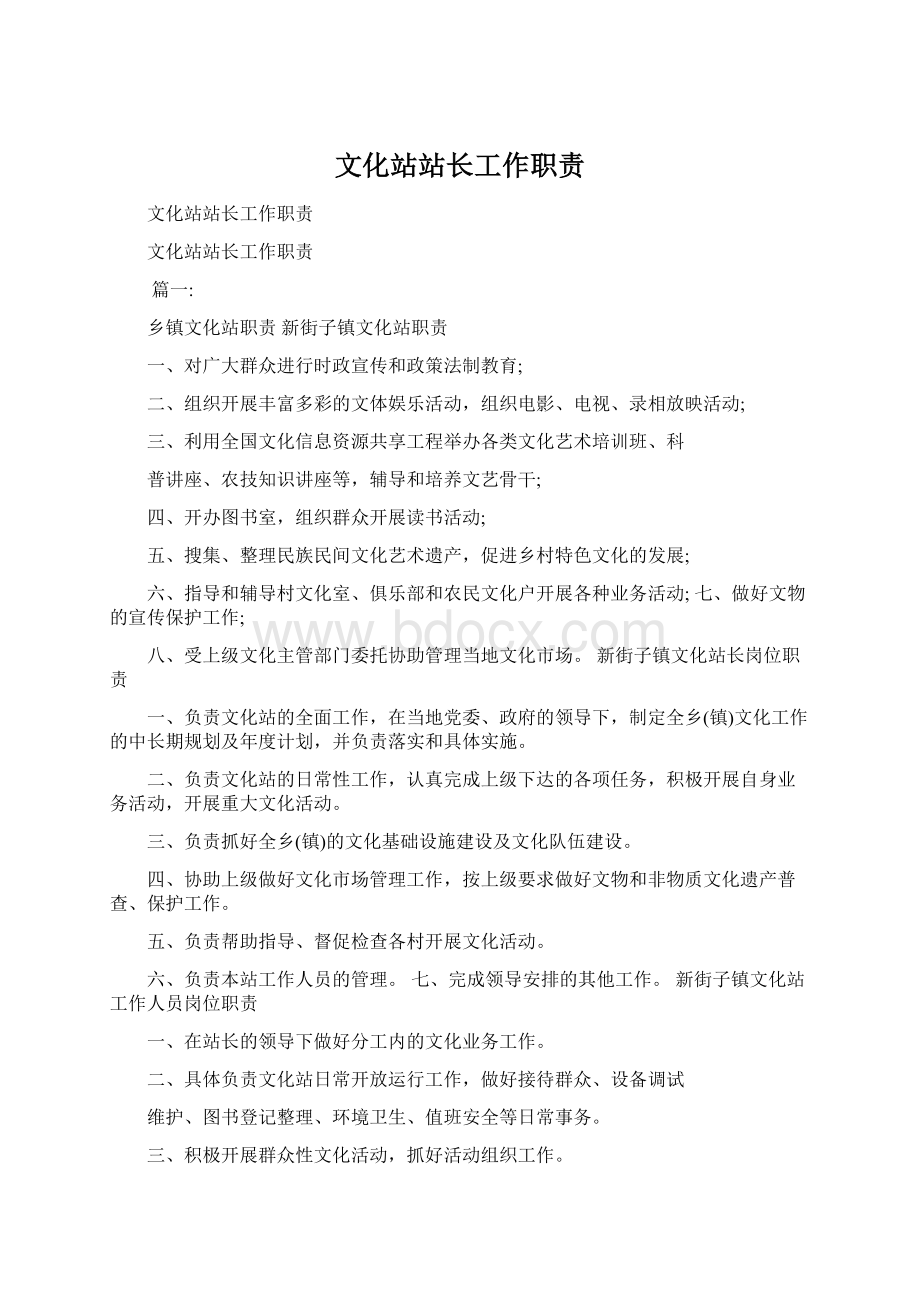 文化站站长工作职责文档格式.docx