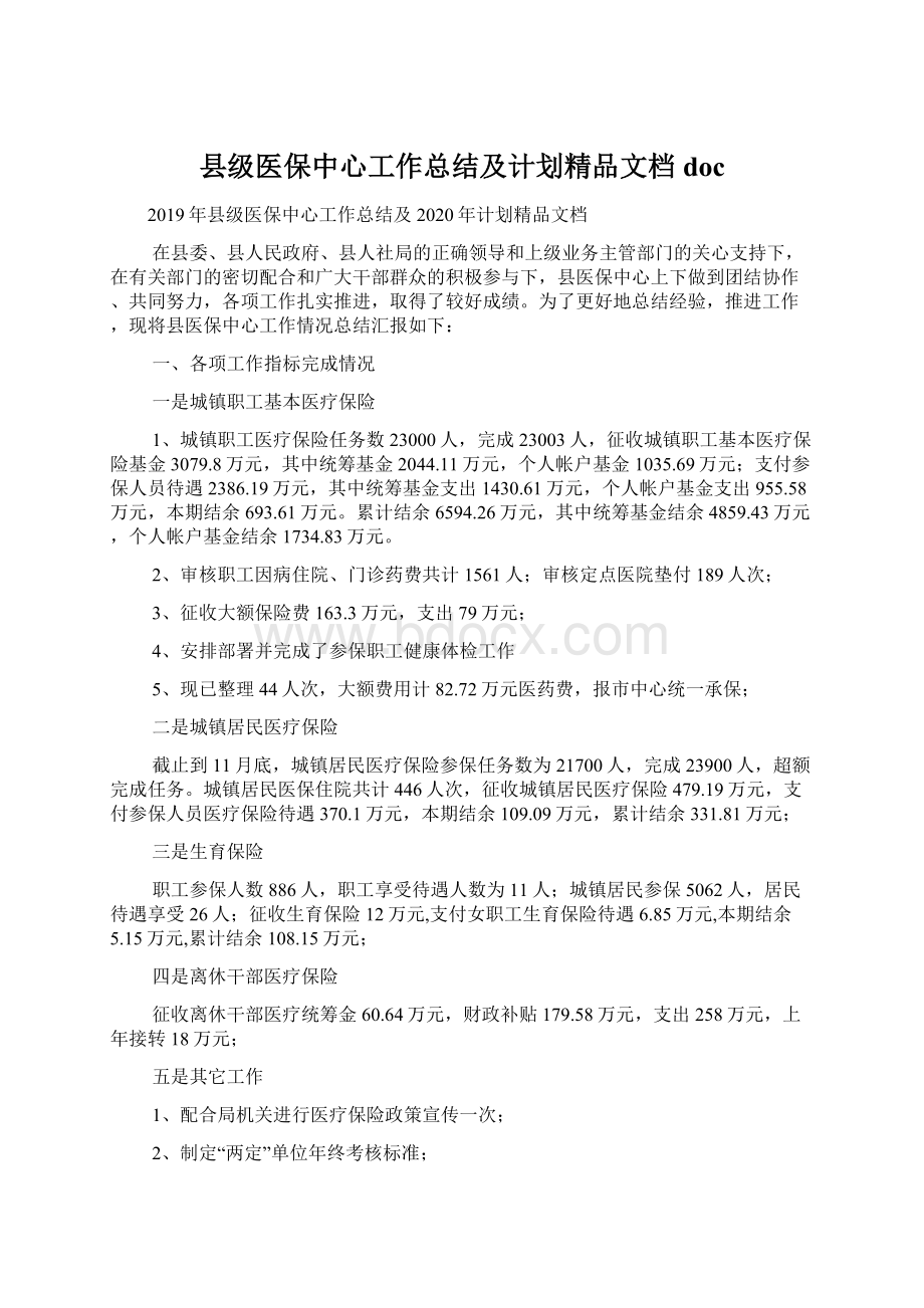 县级医保中心工作总结及计划精品文档doc.docx_第1页