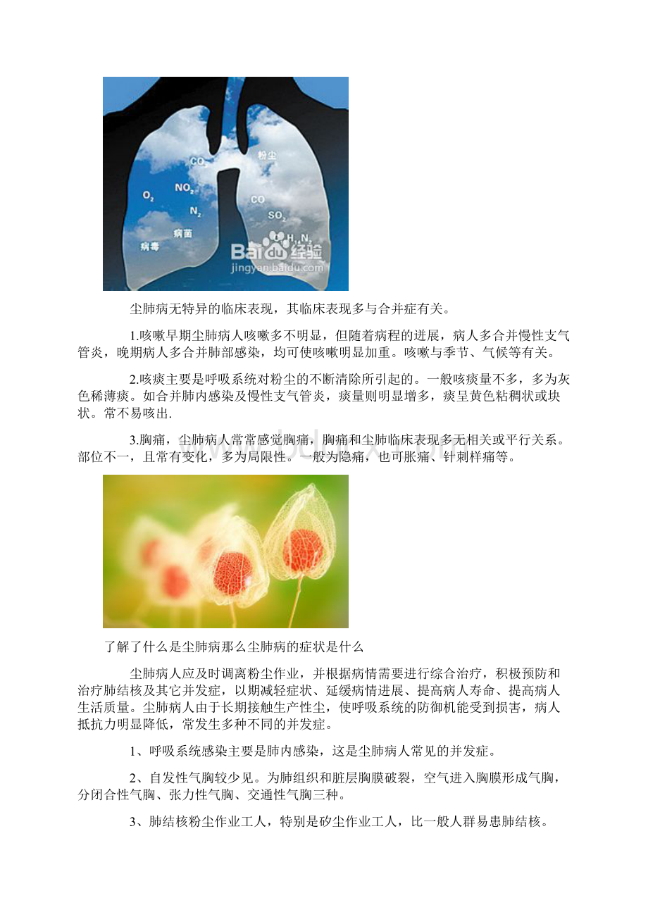 混凝土搅拌站搅拌楼会不会得尘肺病啊.docx_第2页