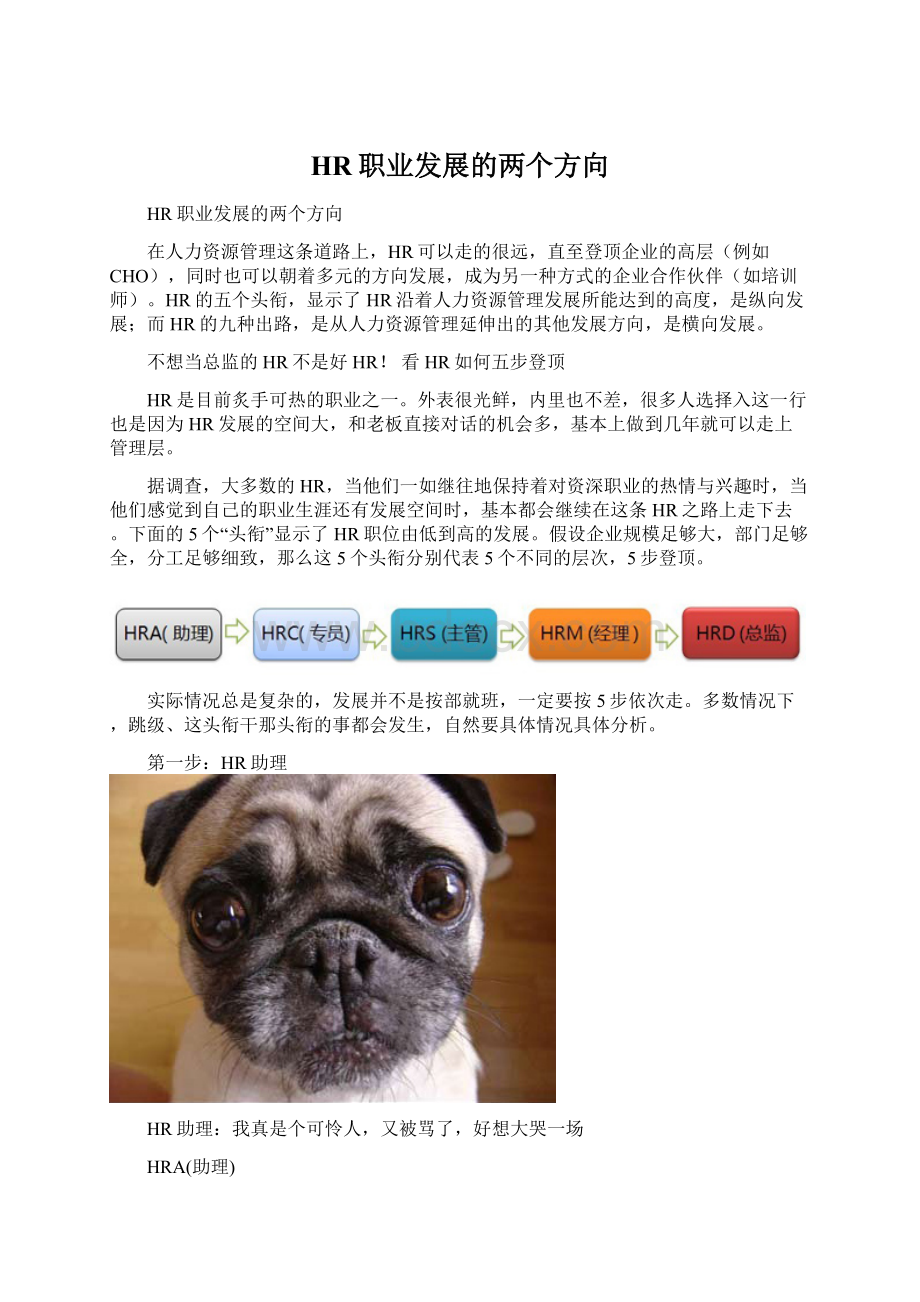 HR职业发展的两个方向.docx_第1页