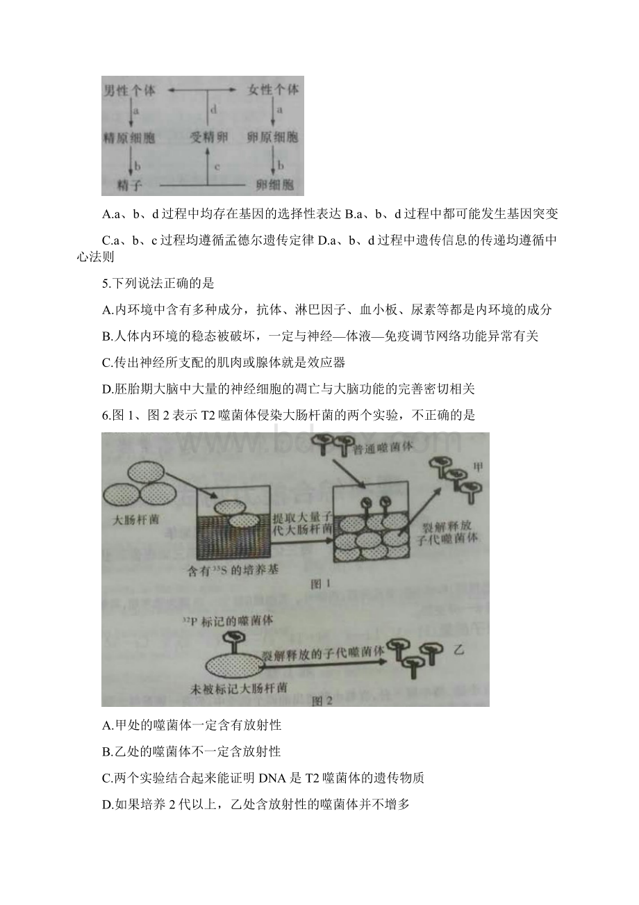 炎德英才大联考湖南师大附中届高三高考模拟卷一理综生物试题.docx_第2页