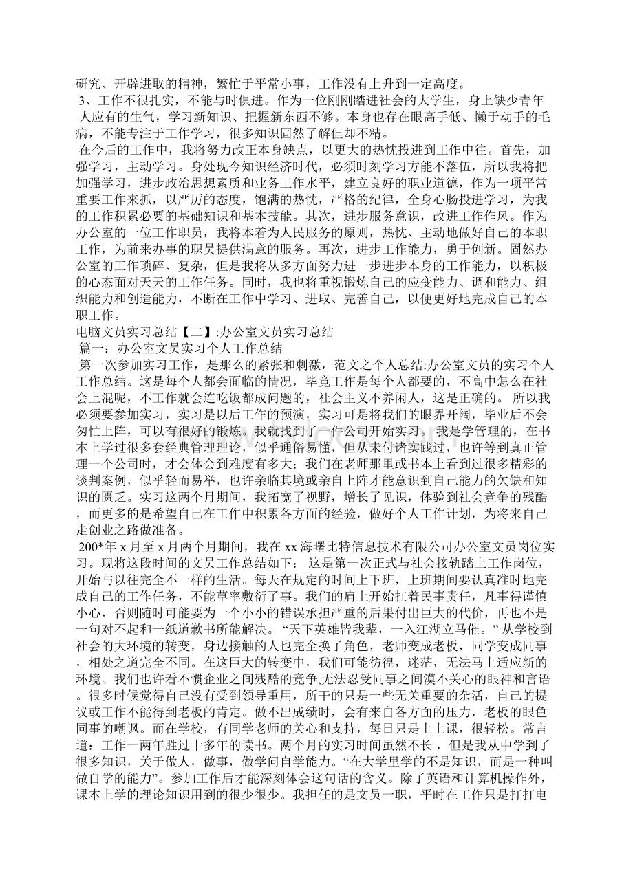 电脑文员实习总结.docx_第2页