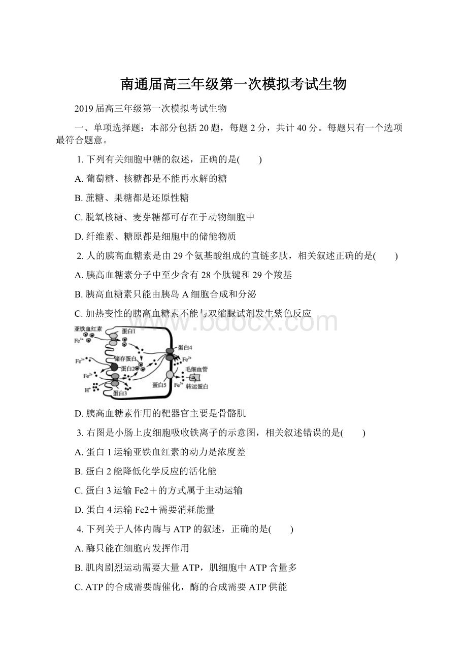 南通届高三年级第一次模拟考试生物.docx_第1页