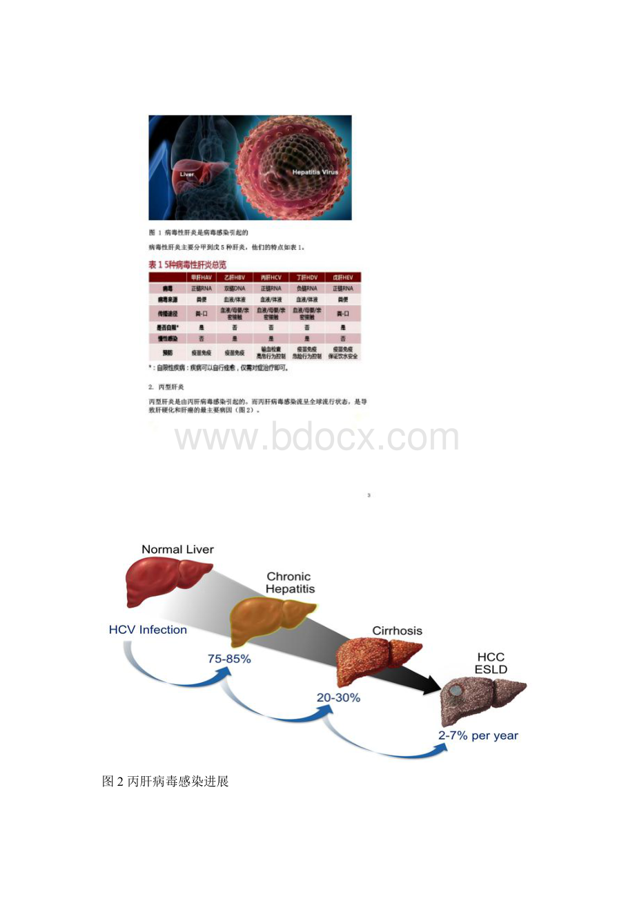 HCV药物研发进展综述丙型肝炎与抗丙肝药物.docx_第2页