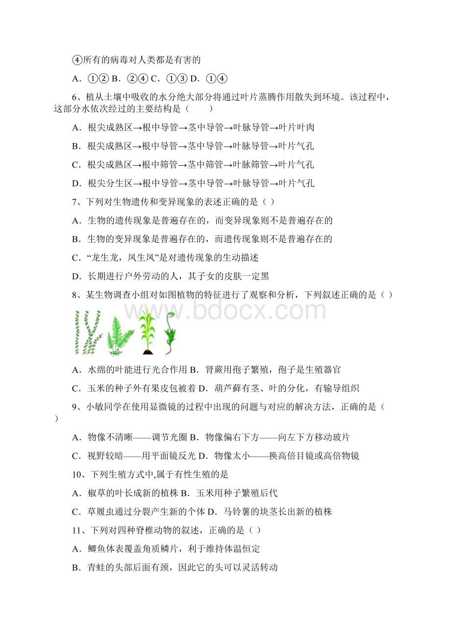 苏教版八年级生物下册月考质量分析卷及答案Word下载.docx_第2页