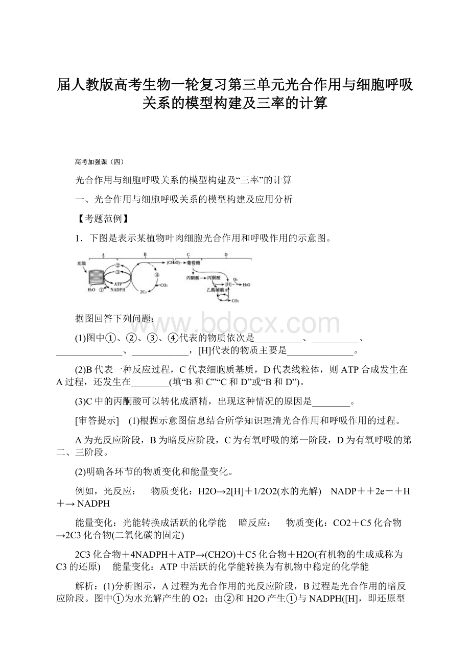 届人教版高考生物一轮复习第三单元光合作用与细胞呼吸关系的模型构建及三率的计算Word文档格式.docx_第1页