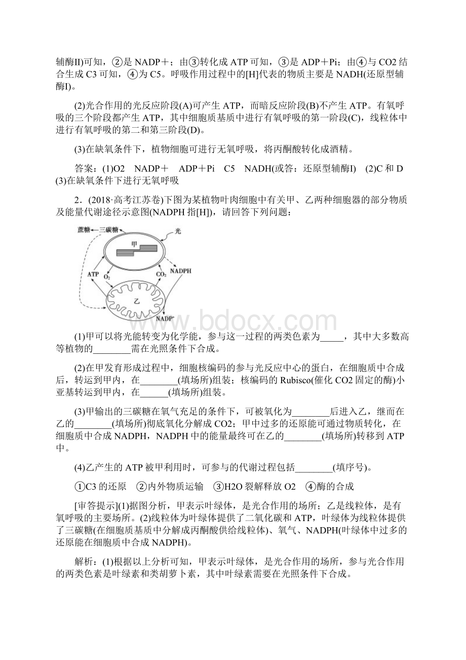 届人教版高考生物一轮复习第三单元光合作用与细胞呼吸关系的模型构建及三率的计算Word文档格式.docx_第2页