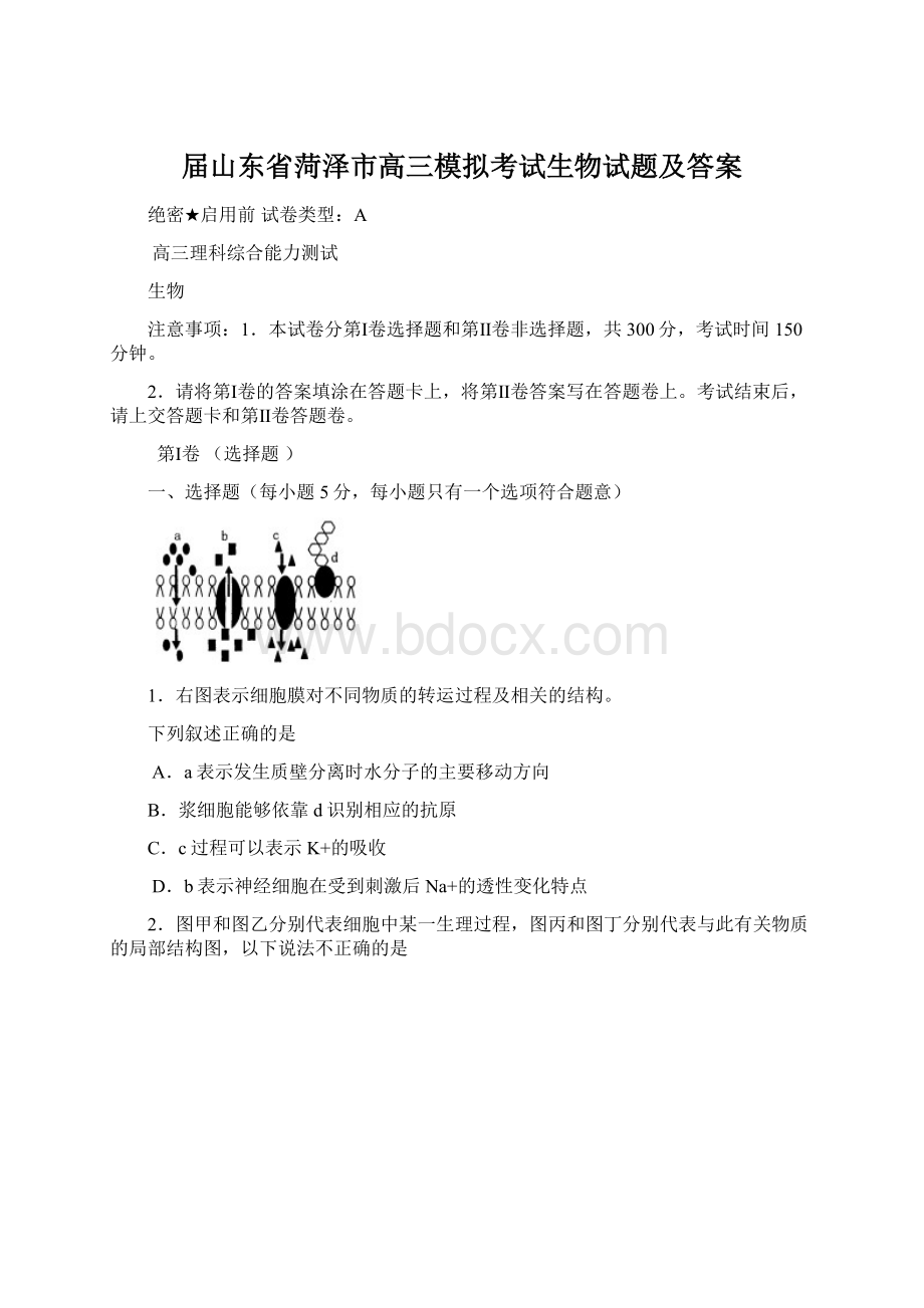 届山东省菏泽市高三模拟考试生物试题及答案.docx_第1页