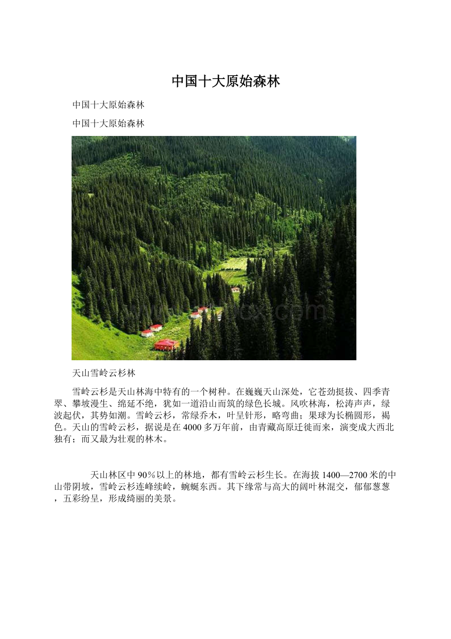 中国十大原始森林Word文档下载推荐.docx