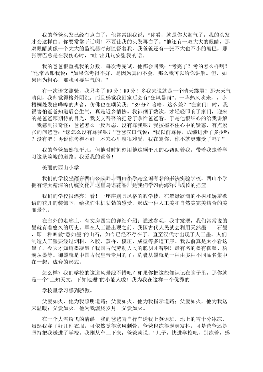 关于父爱的作文精选多篇.docx_第2页