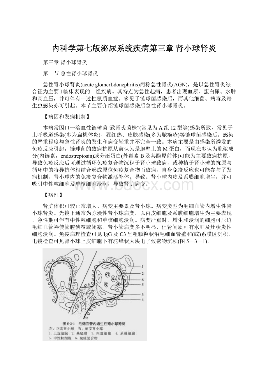 内科学第七版泌尿系统疾病第三章 肾小球肾炎Word文档格式.docx