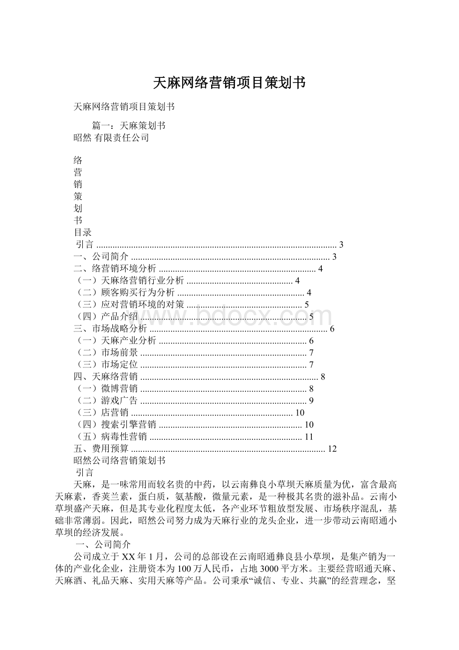 天麻网络营销项目策划书Word文档下载推荐.docx